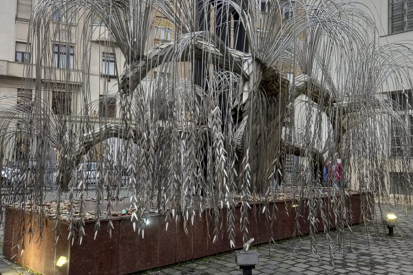 Experimenta_mas_20231114_151500